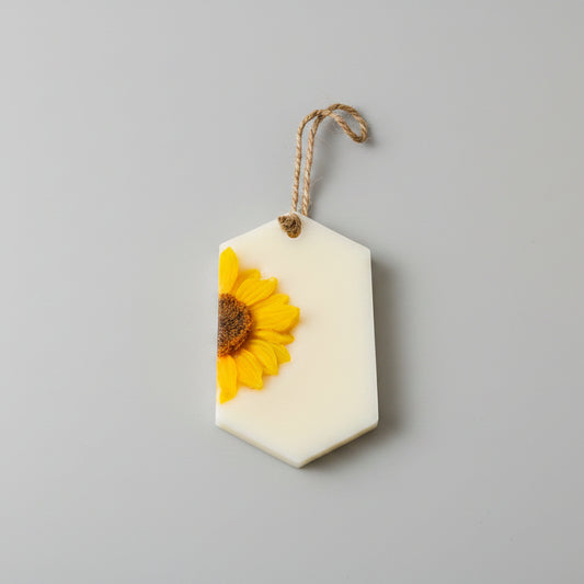 Mango Coconut scented wardrobe freshener